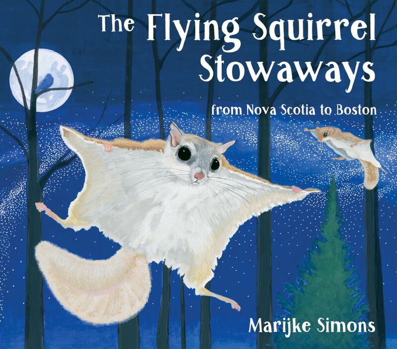 The Flying Squirrel Stowaways From Nova Scotia to Boston