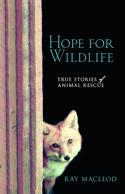 Hope for Wildlife True Stories of Animal Resuce
