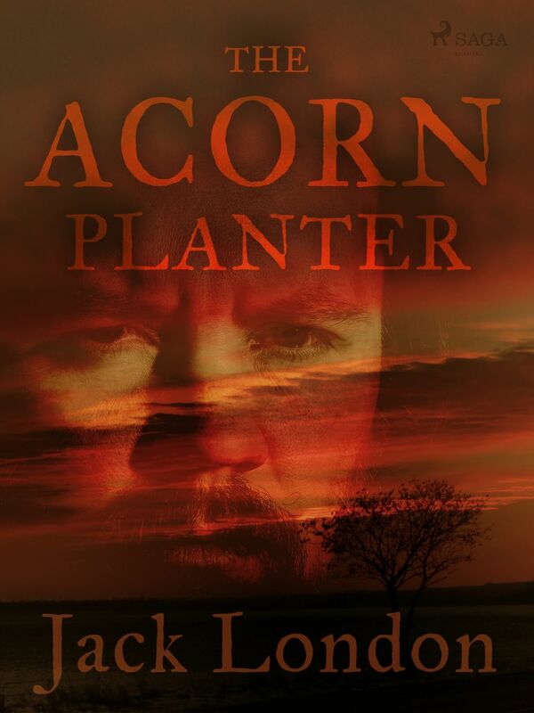 The Acorn Planter