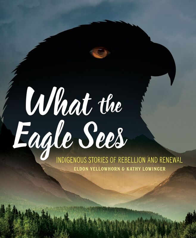 What the Eagle Sees Indigenous Stories of Rebellion and Renewal