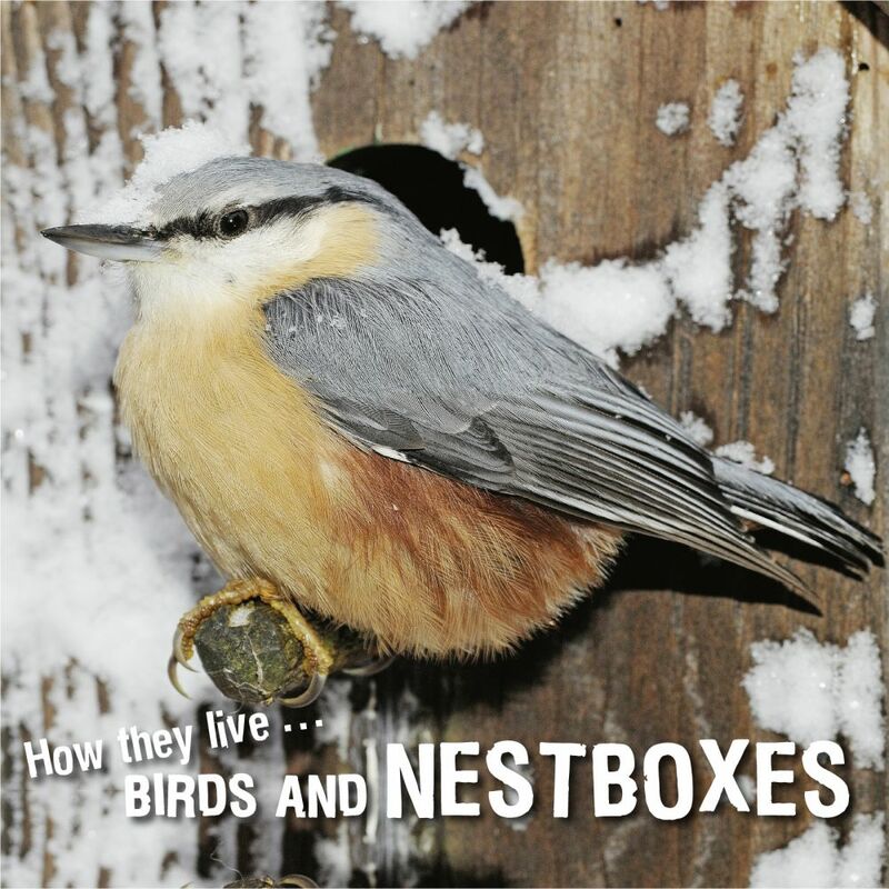 How they live... Birds and nestboxes Learn All There Is to Know About These Animals!