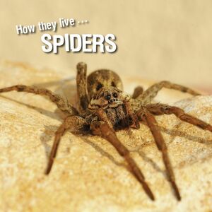 How they live... Spiders Learn All There Is to Know About These Animals!