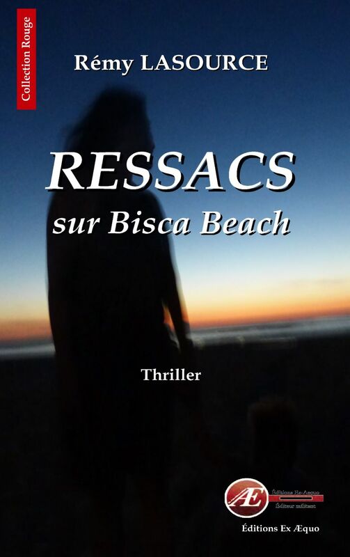 Les chroniques policières de Biscarrosse - Tome 1 Ressacs sur Bisca Beach