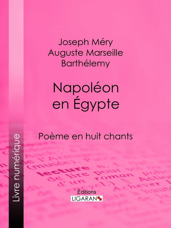Napoléon en Égypte Poème en huit chants