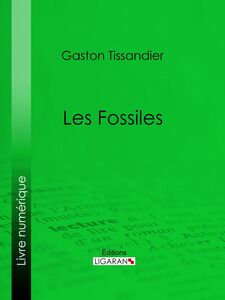 Les Fossiles