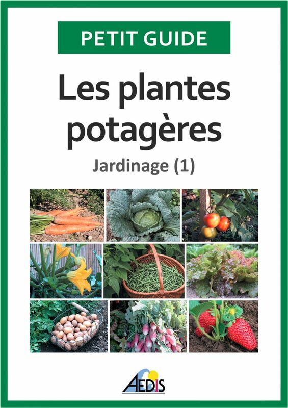 Les plantes potagères Jardinage (1)