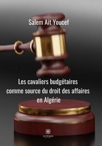 Cavaliers budgétaires comme source du droit des affaires en Algérie Essai
