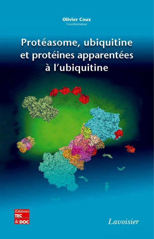 Protéasome, ubiquitine et protéines apparentées à l'ubiquitine