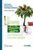 Le ginseng : vertus thérapeutiques d'une plante adaptogène