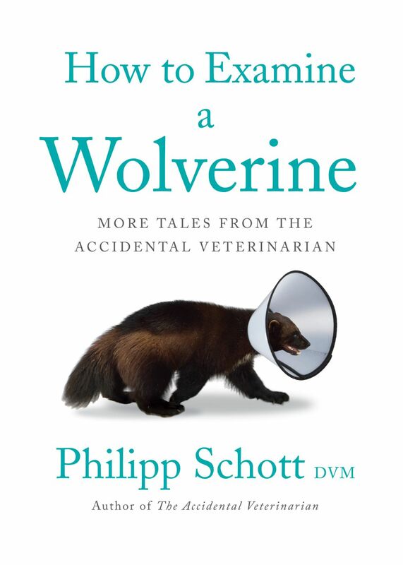 How to Examine a Wolverine More Tales from the Accidental Veterinarian