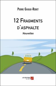 12 Fragments d'asphalte