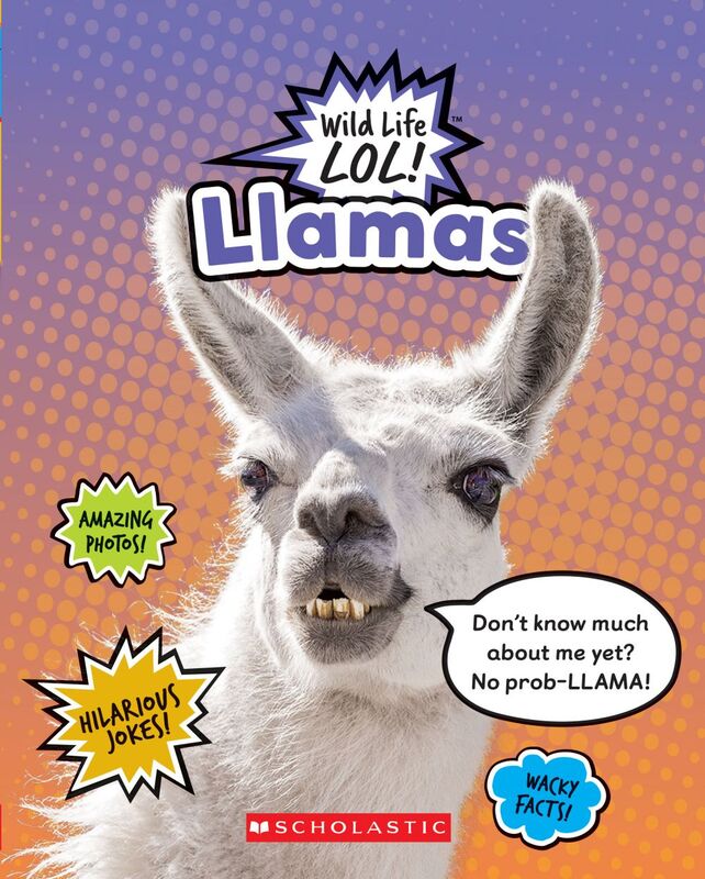 Llamas (Wild LIfe LOL!)