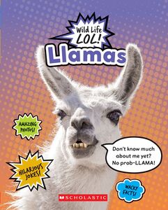 Llamas (Wild LIfe LOL!)