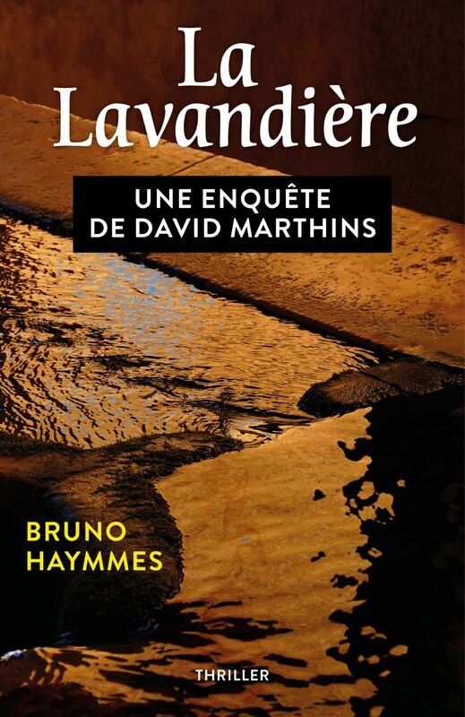 La Lavandière Une enquête de David Marthins