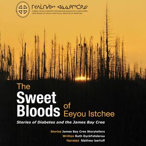 The Sweet Bloods of Eeyou Istchee Stories of Diabetes and the James Bay Cree