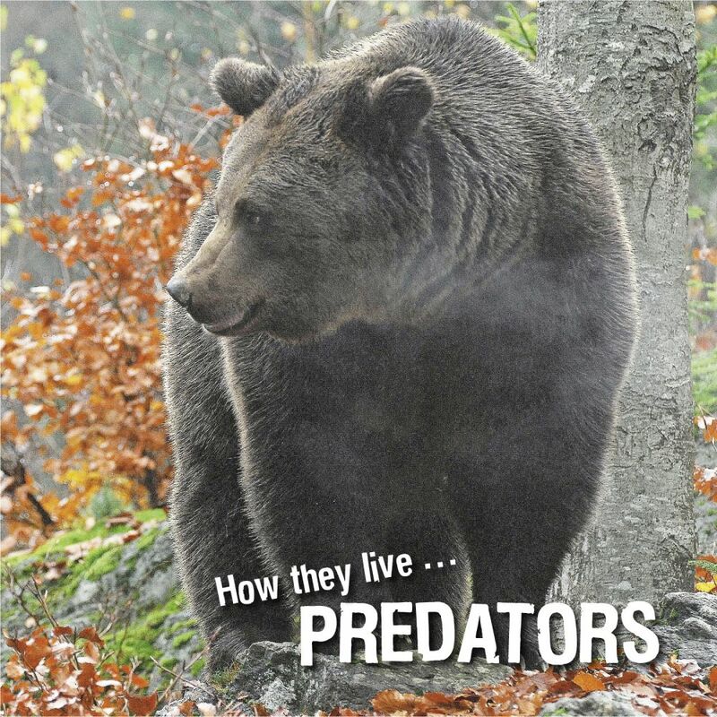 How they live... Predators Learn All There Is to Know About These Animals!