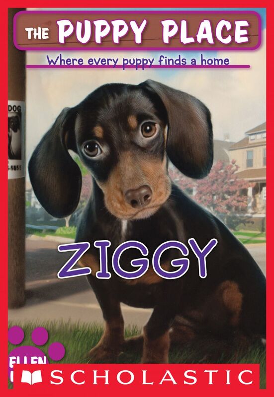 Ziggy (The Puppy Place #21)