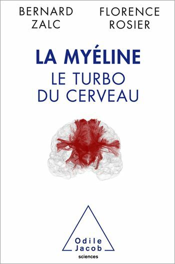 La Myéline Le turbo du cerveau