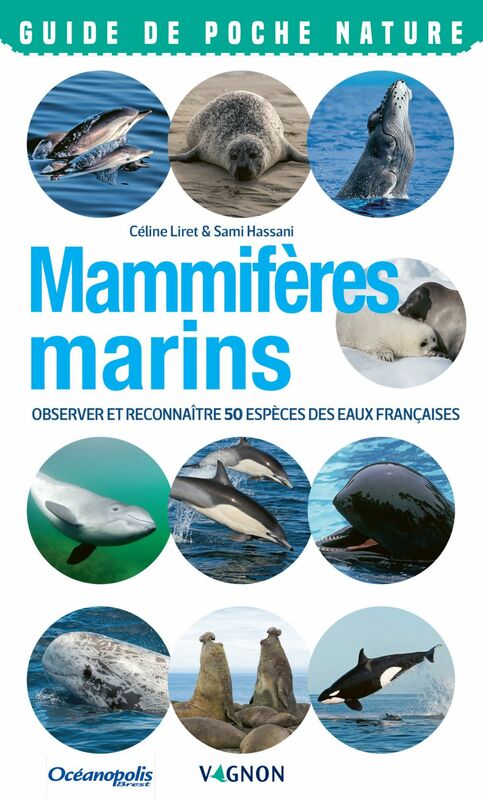 Mammifères marins Observer et reconnaître 50 espèces des eaux françaises