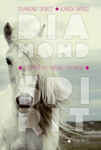 L'esprit du cheval sauvage Diamond Spirit - Tome 2