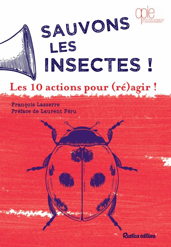 Sauvons les insectes ! Les 10 actions pour (ré)agir !