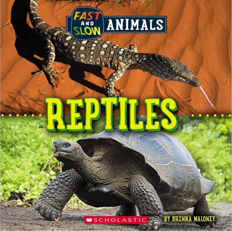 Reptiles (Wild World: Fast and Slow Animals)