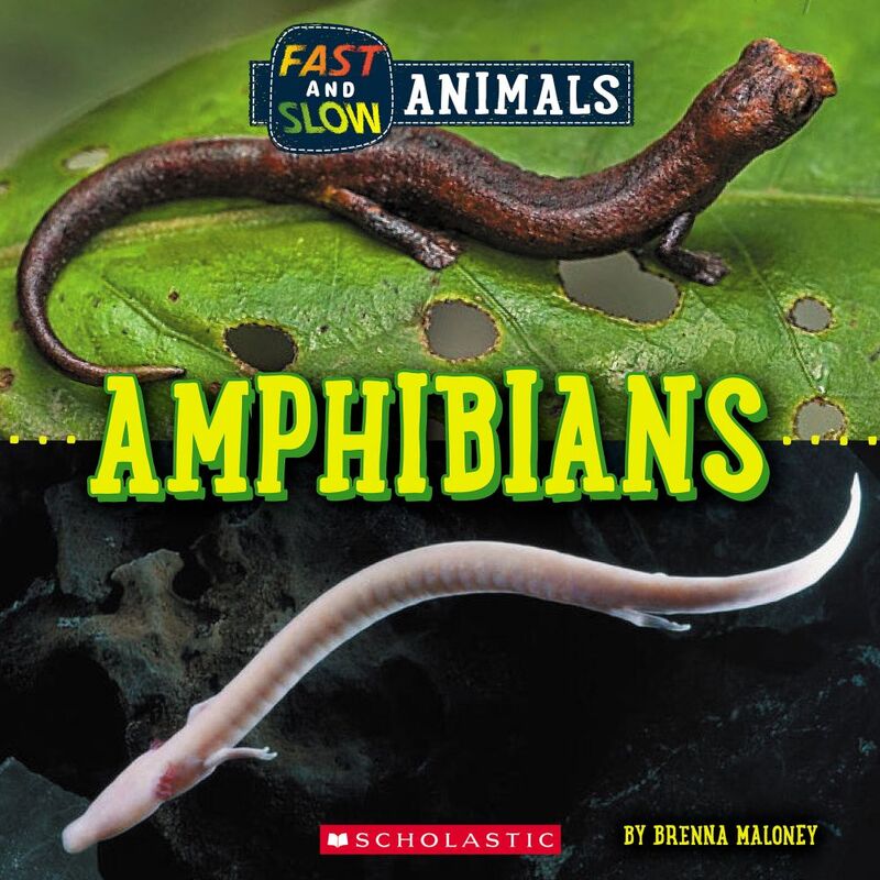 Amphibians (Wild World: Fast and Slow Animals)