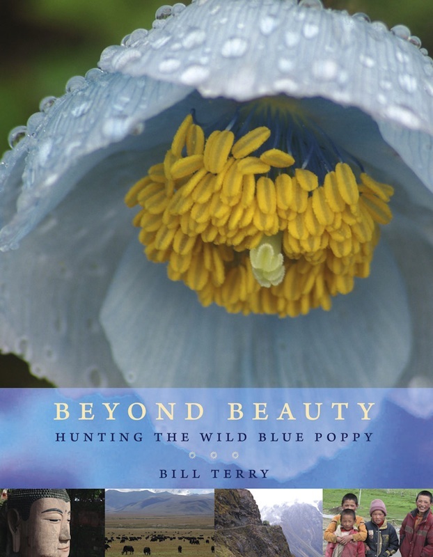 Beyond Beauty Hunting the Wild Blue Poppy