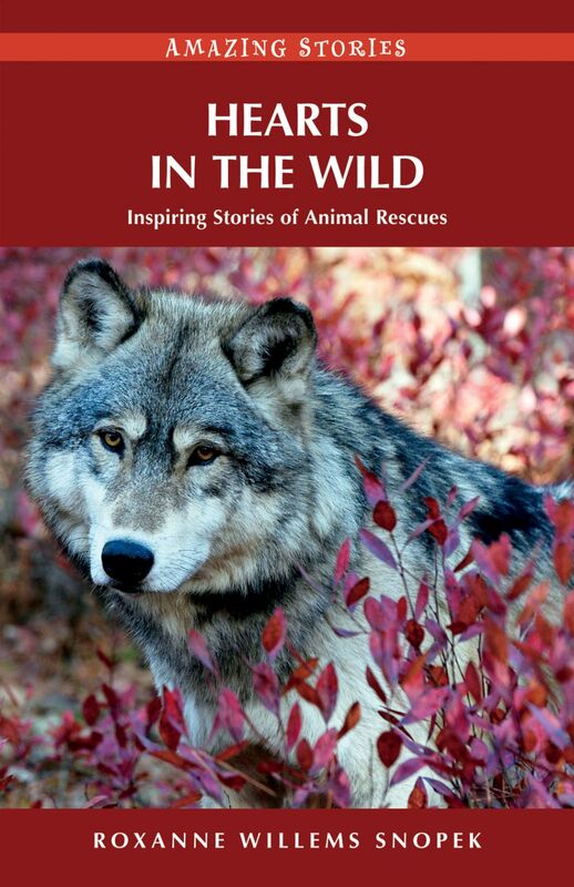Hearts in the Wild Inspiring Stories of Animal Rescues