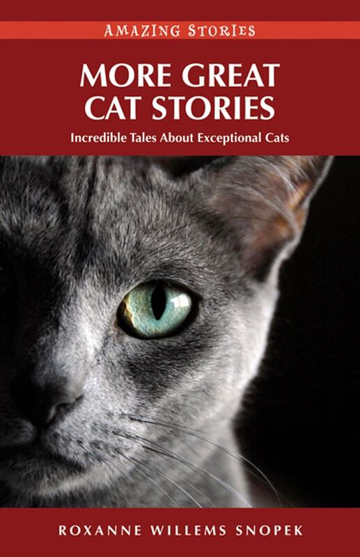 More Great Cat Stories Incredible Tales About Exceptional Cats