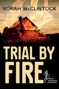 Trial by Fire A Riley Donovan mystery