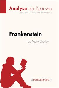 Frankenstein de Mary Shelley (Analyse de l'oeuvre) Analyse complète et résumé détaillé de l'oeuvre