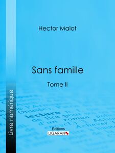 Sans famille Tome II