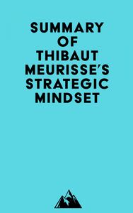 Summary of Thibaut Meurisse's Strategic Mindset
