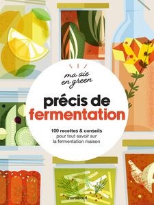 Ma  vie en green - Précis de fermentation 100 recettes & conseils pour tout savoir sur la fermentation maison
