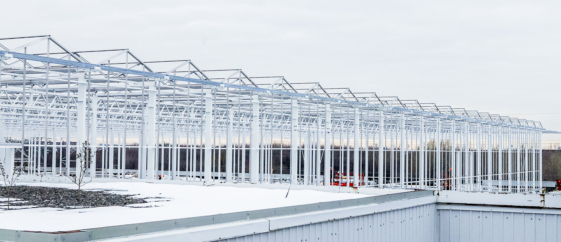 Lufa: Rooftop Farming and Local Food Distribution in Montreal