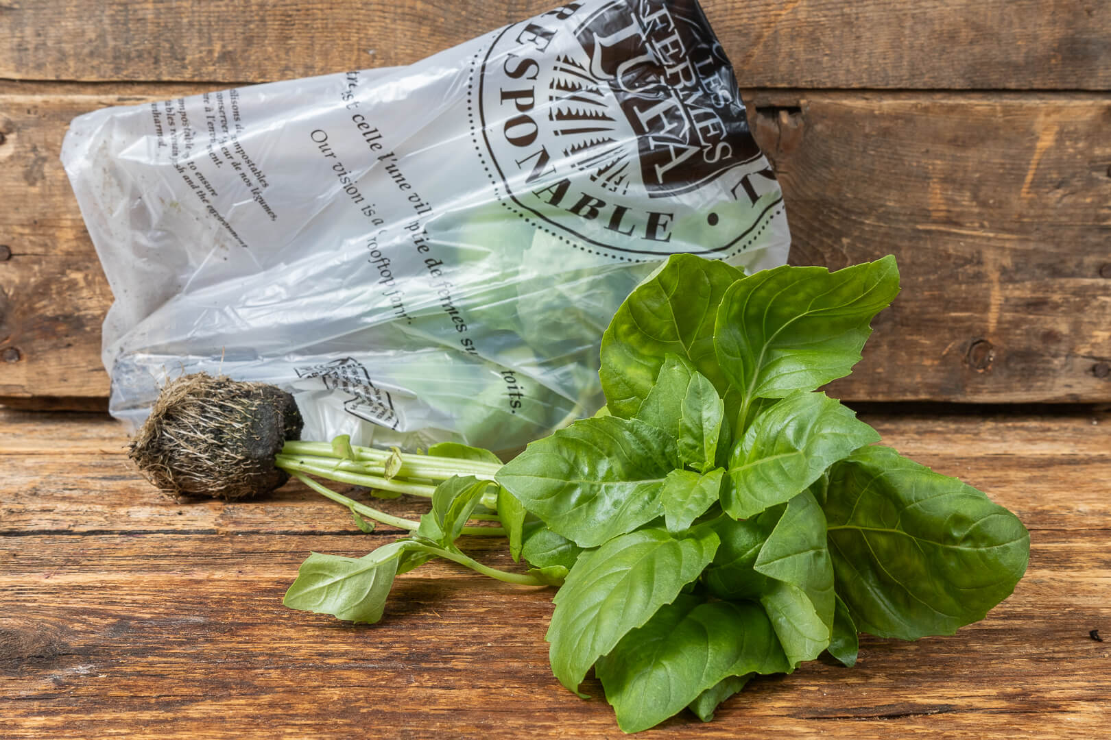 Large Leaf Italian Basil Lufa Farms Marketplace