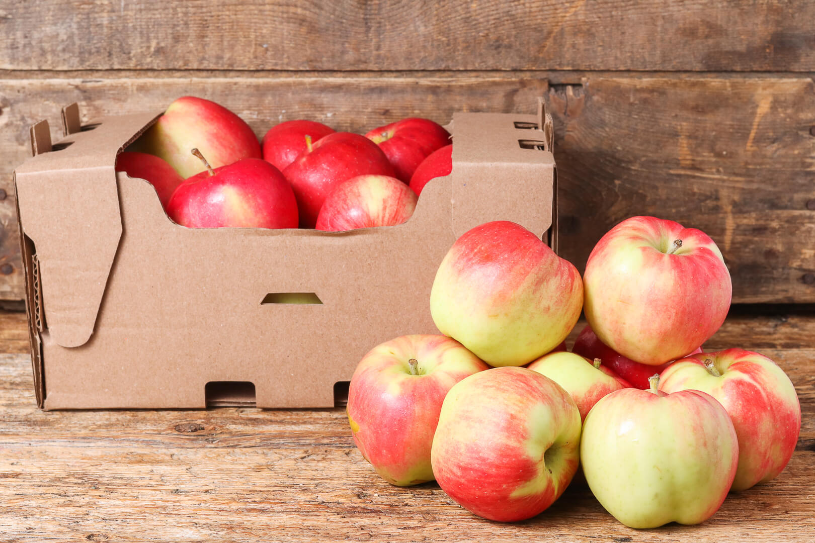 Paula Red Apples (2024 harvest) - Lufa Farms Marketplace