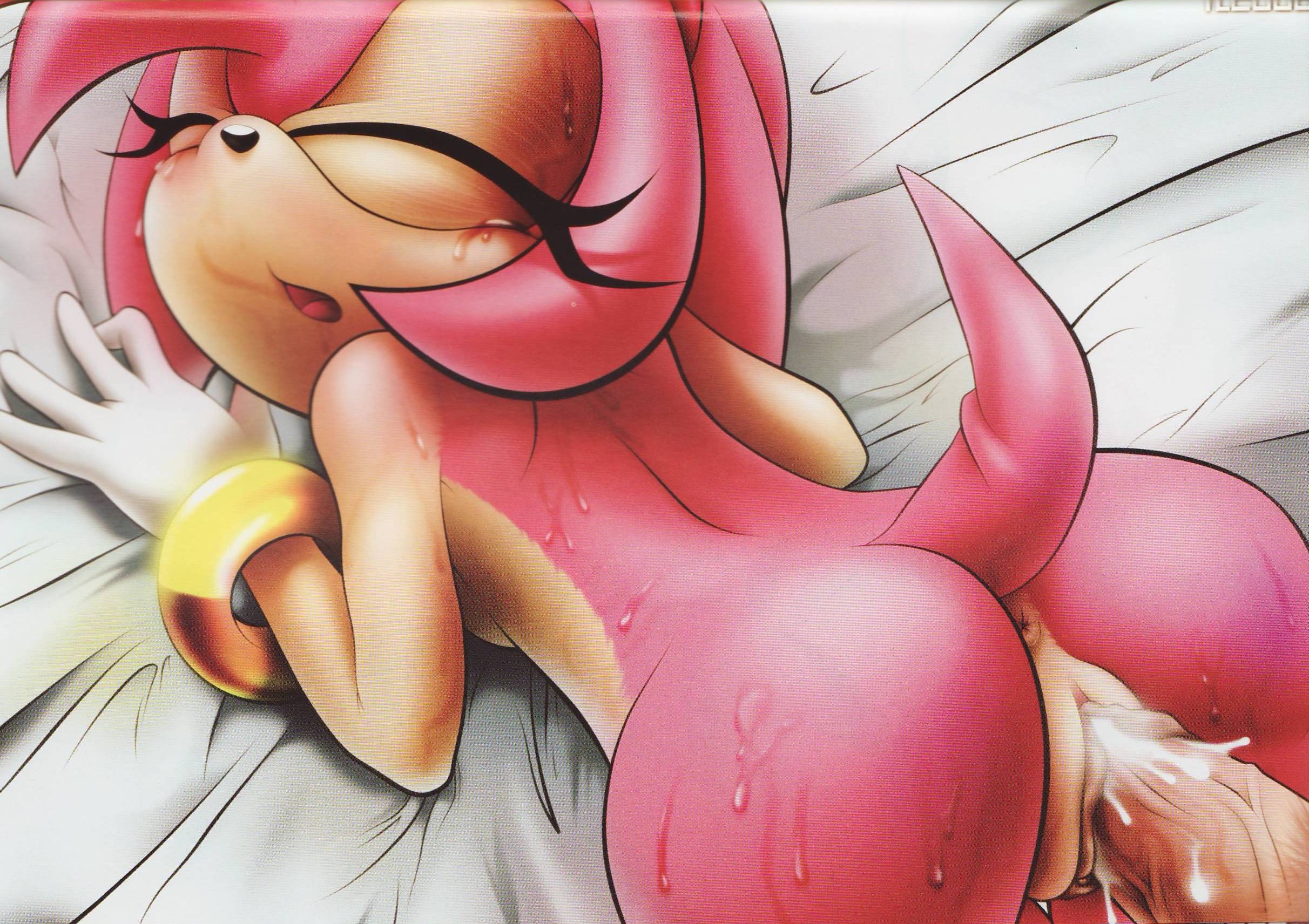 Amy Hentai Porn - 1194666 Amy Rose Sonic Team | Holy shit thats a lot of Sonic the hedgehog  porn | Luscious Hentai Manga & Porn