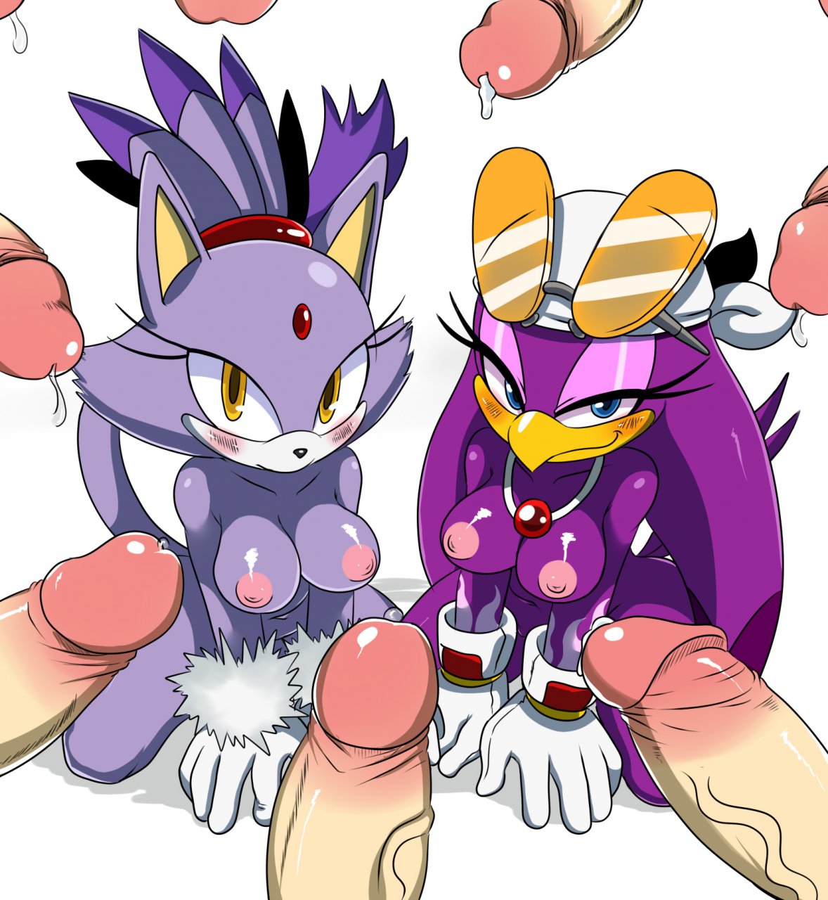 1071626 Blaze The Cat Sonic Team Wave The Swallow Sssonic2 | Holy shit  thats a lot of Sonic the hedgehog porn | Luscious Hentai Manga & Porn
