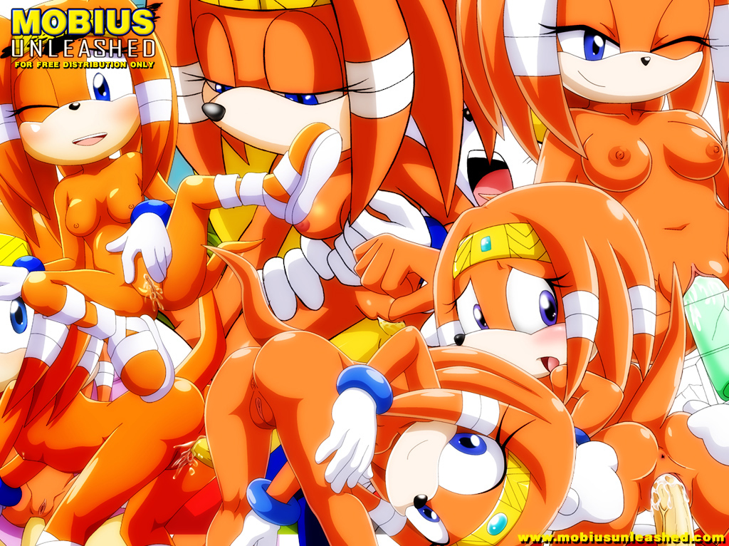 1024px x 766px - 807732 Palcomix Sonic Team Tikal The Echidna Bbmbbf | Holy shit thats a lot  of Sonic the hedgehog porn | Luscious Hentai Manga & Porn