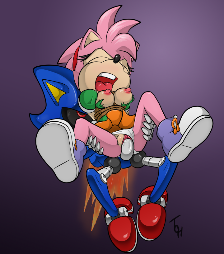 910730 Amy Rose Metal Sonic Sonic Cd Sonic Team The Other Half | Holy shit  thats a lot of Sonic the hedgehog porn | Luscious Hentai Manga & Porn