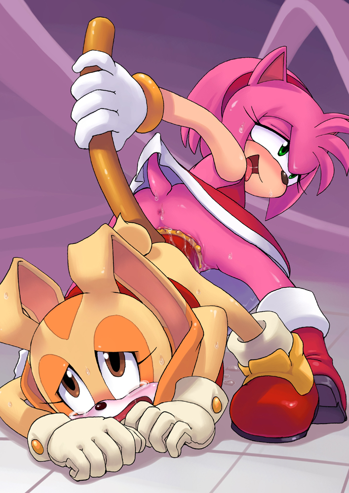 707px x 1000px - 34491 Amy Rose Cream The Rabbit Sonic Team | Holy shit thats a lot of Sonic  the hedgehog porn | Luscious Hentai Manga & Porn