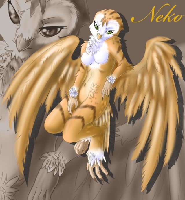 639px x 688px - 36 Owl | Furry Beauties with Wings | Luscious Hentai Manga & Porn