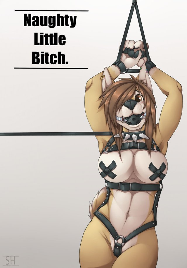 Furry Bitch Hentai - Naughty Little Bitch Bdsm By Spazzyhusky | Furry Females only | Luscious Hentai  Manga & Porn