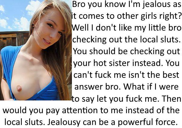 Sis Porn Captions - Jealous Sister | The Incest Caption File 41 | Luscious Hentai Manga & Porn