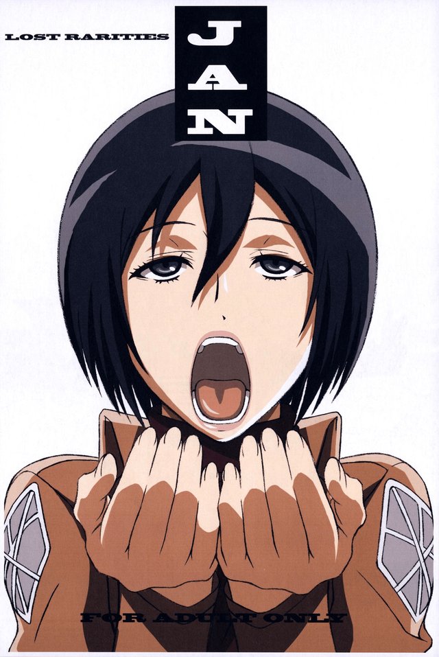 Lost rarities mikasa