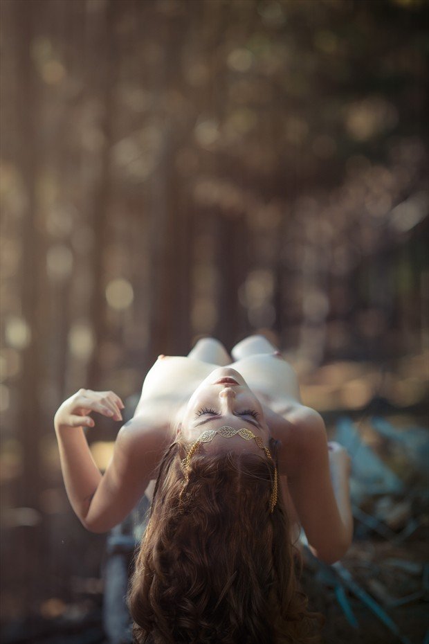 The Aseelie Dryad Of Darkwood Artistic Nude Photo By Photographer Robertxc Fullsize Wood
