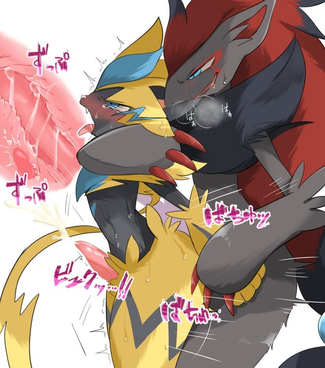 Prrrrrrmine Zeraora Zoroark Zeraora Luscious Hentai Manga And Porn