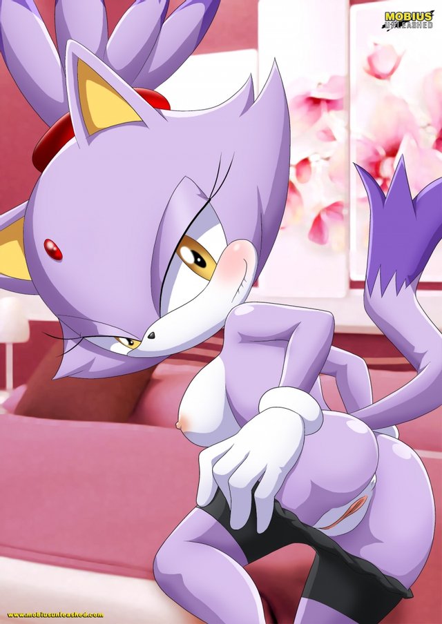 Blaze Cat Porn - 0098 Sonic And Sally Porn | Blaze the Cat | Luscious Hentai Manga & Porn